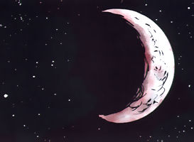 loup_lune