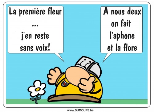 SUMOUPS, BD, éditeurs, presse, hebdomadaires,