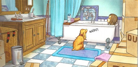 Capitol, Turf, Delcourt, Magasin sexuel, Humour