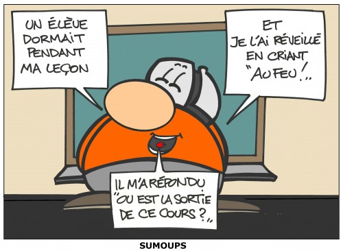 sumoups, bulle, humour, bd