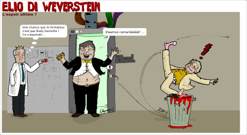 wever,rupo,crise,roi,albert,laurent,chute