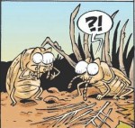 les insectes t.JPG
