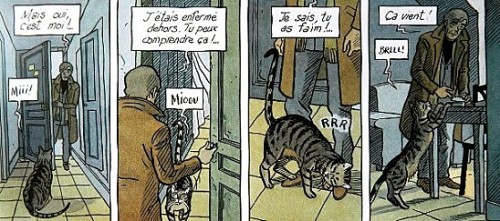 Zone-blanche-4.JPG