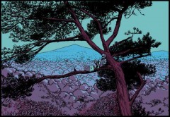 nao de brown,dillon,akileos,drame,toc