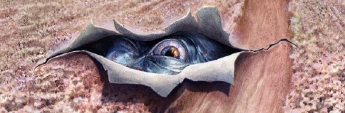 severed,snyder,tuft,futaki,urban comics,épouvante,horreur,thriller