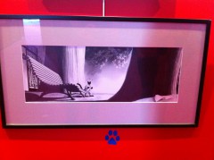 quai des bulles,fournier,ratte,tanquerelle,manini,pommaux,gotlib