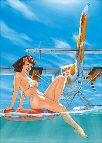 pin up,femme,sexy,hugault,avion