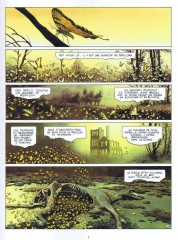 samb or 2013,samb or dessin,meilleur dessin