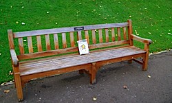 un petit livre oublié sur un banc,jim,mig,bamboo,grand angle,comédie romantique,bookcrossing