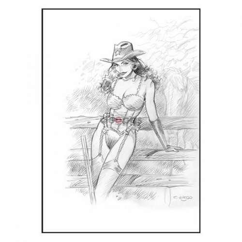 pin up,femme,sexy,girod,western