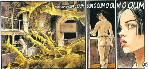 Cycle de Cyann, les aubes douces d'Aldalarann, Bourgeon, Lacroix, Glénat, 09/2014