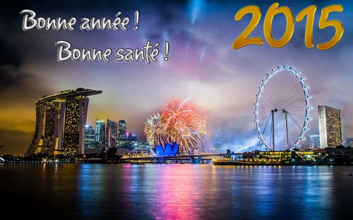 1408393694-bonne-annee-2015-003.jpg