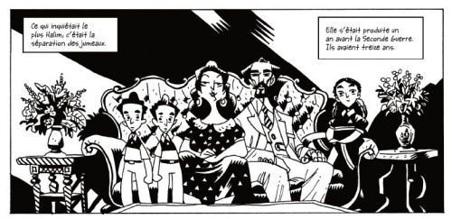 deux frères,gabriel bà,fàbio moon,milton hatoum,urban comics,drame familial,brésil,adaptation610,032015