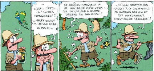 L'île carrément perdue, Cromheecke, Sti, Kramiek, 8/10, humour, 04/2015.