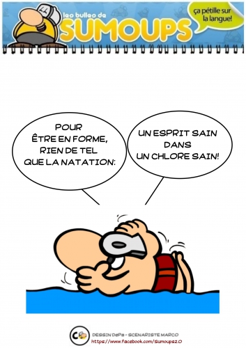 sumoups, sumoups2.0, bd, 2015, humour, jeux de mots, sourire, rire,