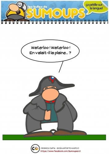 sumoups, sumoups2.0, bd, 2015, humour, jeux de mots, sourire, rire,