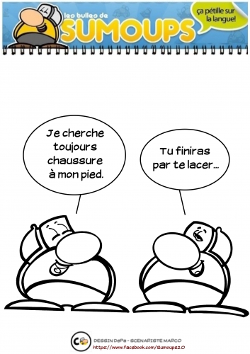 sumoups, sumoups2.0, bd, 2015, humour, jeux de mots, sourire, rire,