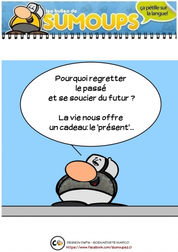 SUMOUPS, calendrier sumoups, sumoups2.0, bd