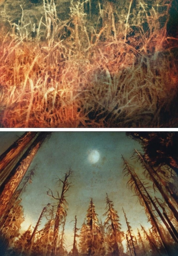 melvile,l'histoire de saul miller,renard,le lombard,22 janvier 2016,néo-polar,fantastique