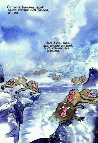 Le crépuscule des idiots, Krassinsky, Casterman, 31 août 2016, roman graphique, fable 