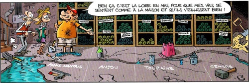 vignobles,la loire,bamboo édition,richez,cazenove & saive