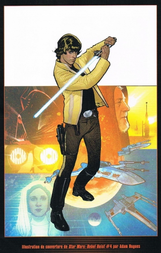 star wars icones,matt kindt,marco castiello,adam hugues,science fiction,la guerre des étoiles,luke skywalker,princesse leia,chewbacca,han solo