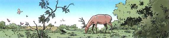 expert02planche_41679