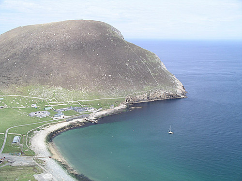 hirta