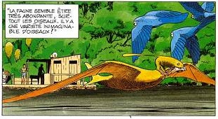 planche-betelgeuse-reduite