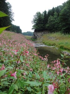 barrage robertville13.jpg