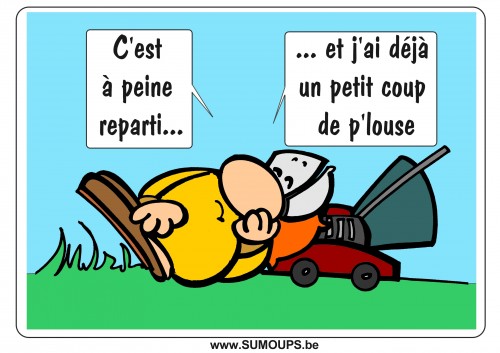 SUMOUPS, bd, humour, 