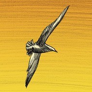 Capitol, Vadot, Sandawe, crowdfunding, Fable fantastique, Roman Graphique