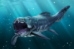 dunkleosteus-par-fel05.jpg