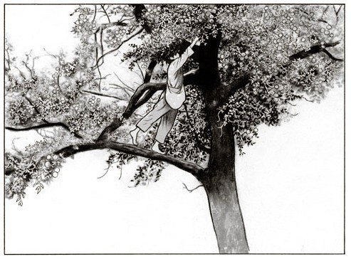 le captivé,dabitch,durieux,futuropolis,folie,psychiatrie,médecine,voyage,chronique sociale,052014,8.510