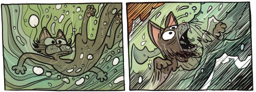 le royaume,saperlipopette,benoit feroumont,dupuis,christelle coopman