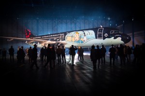 Tintin, avion, Brussels airlines, 03/2015