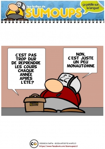 sumoups, bd, sumoups2.0,