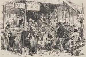 communardes !,les éléphants rouges,wilfrid lupano,lucy mazel,vents d'ouest,glenat