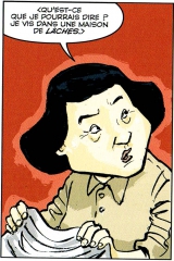 the shadow hero,urban china,yang et liew