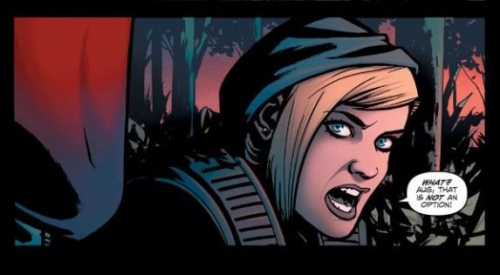 robert kirkman,andy diggle,le maitre voleur,la liste,policier,shawn martinbrough,delcourt,felix serrano