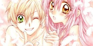 Lovely Fridays, Arina Tanemura, Delcourt, Tonkam, Shôjo, romance, jeunesse.