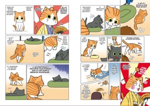 Sa majesté le chat, histoire complète, Akihiro Kimura, Doki Doki, Biopic, jeunesse, animaux, chat.
