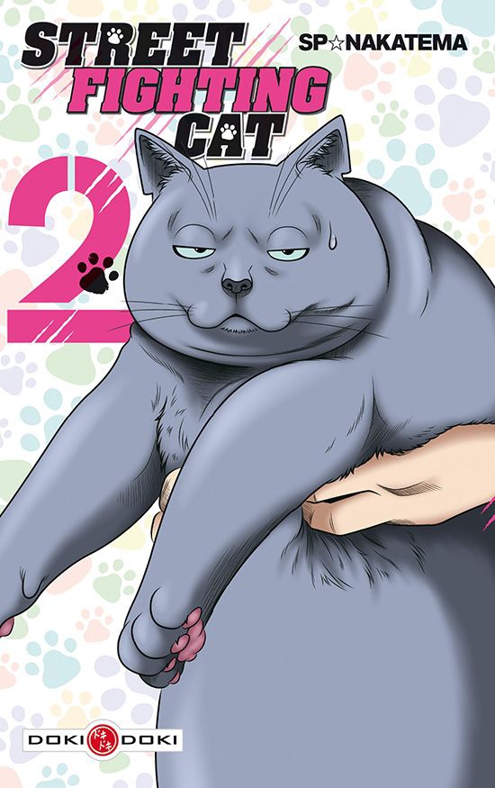a9843-street-fighting-cat-2-doki-thumb