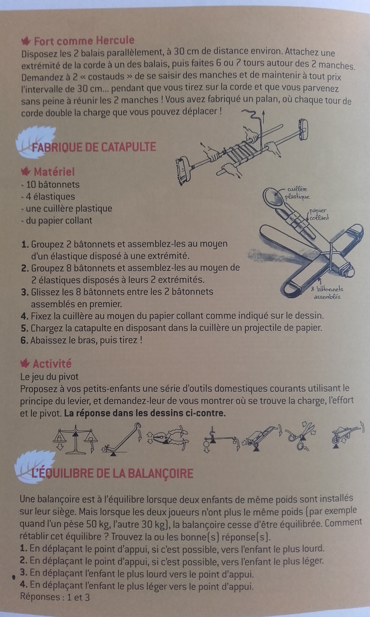 Castors_5