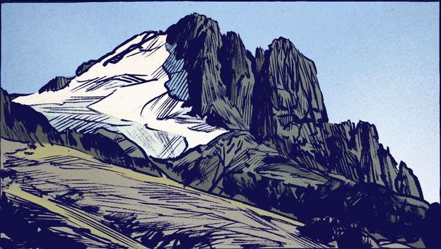 640_detail_du_loupjpg