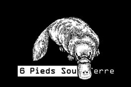 Logo6pst