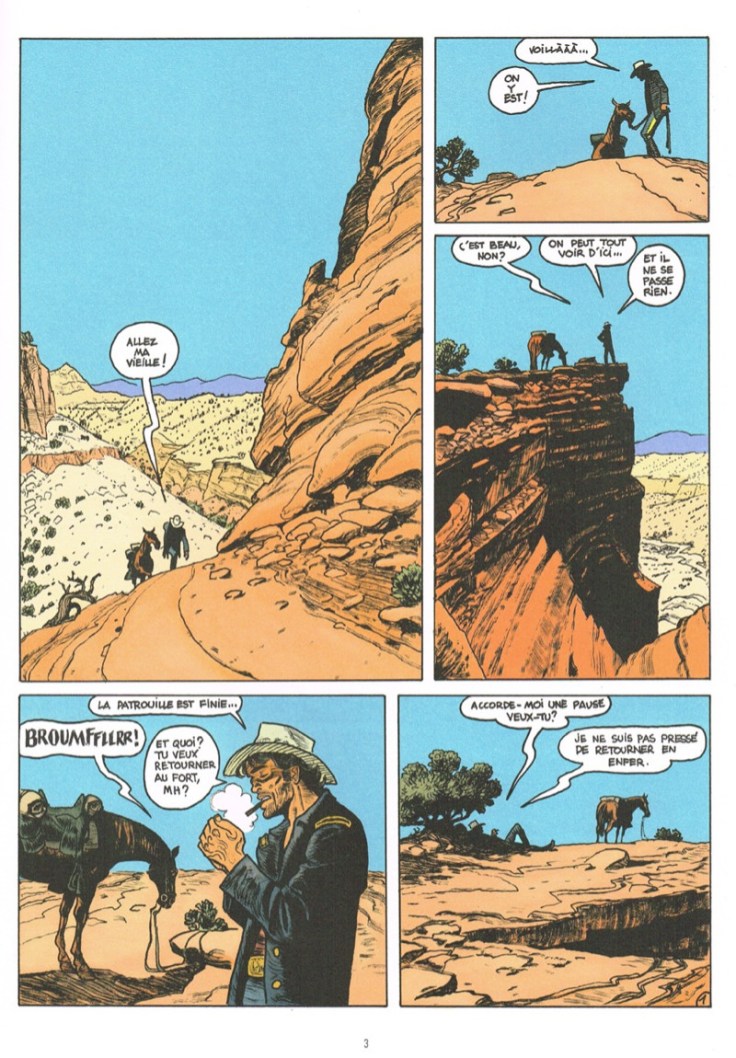 blueberrySfarBlain_pl