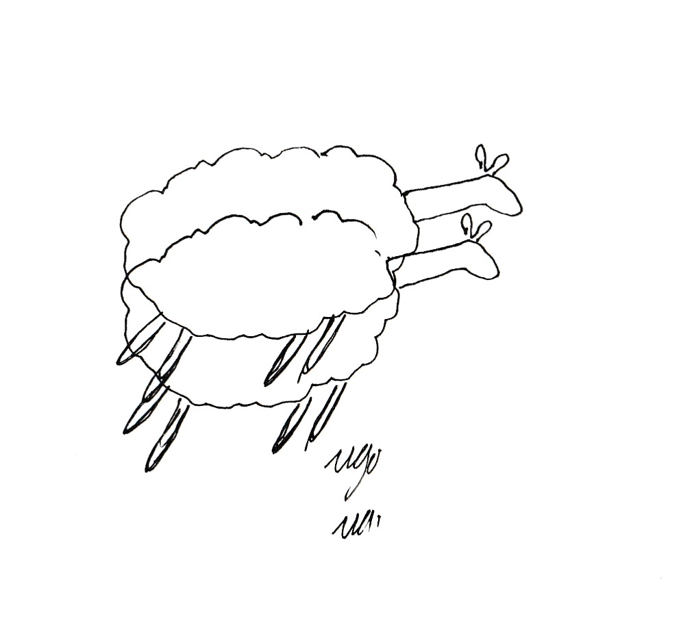 Mouton - Ugo Bienvenu