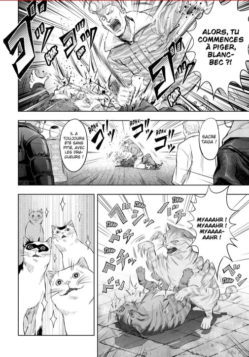 nyankees 1-extrait