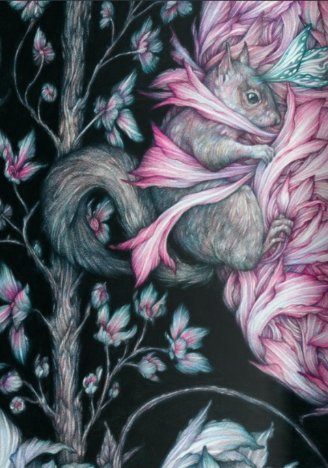 journaux troubles_metamorphoses_editions soleil-scan2